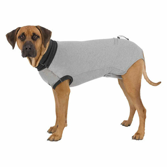 Cane che indossa il protettore corpo cane Trixie grigio nella taglia L, ideale per protezione e recupero