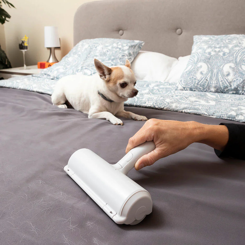 🐶 Spazzola Elimina Peli Rellair InnovaGoods: Cura del Pelo Smart e Casa Pulita