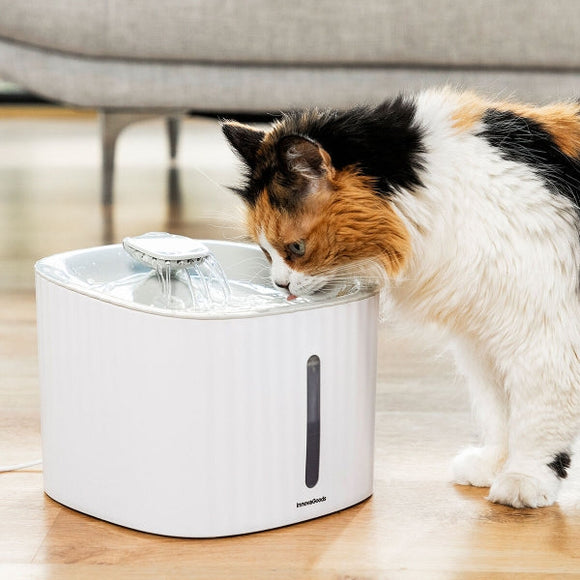 Gatto che beve dalla Fontana per Animali Domestici Drinkatt, la migliore fontanella filtrante per cani e gatti