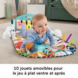 V2HFB52DA43A135A9A269CD5A1A438D8194R5775251P9