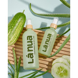 V6H46B9BB3D1441B6CCAFC8E1CE6EBCE8CFR4843595P2