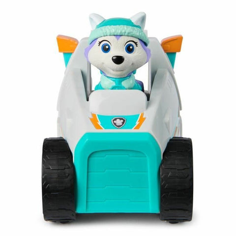 Personaggi d'Azione The Paw Patrol 2 Pezzi