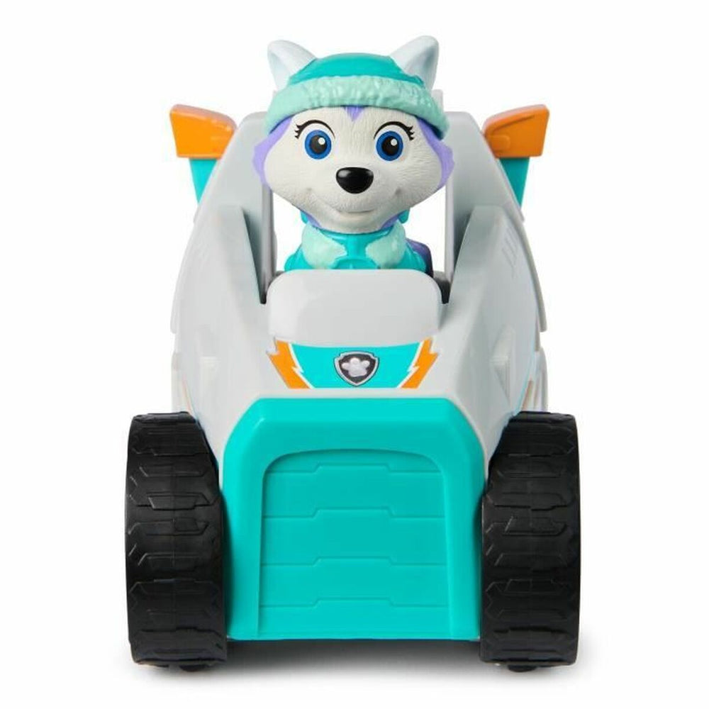 Personaggi d'Azione The Paw Patrol 2 Pezzi