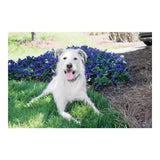 V4H1B3A2E9B8F081DEBB657B306EF0164EBR5763537P3