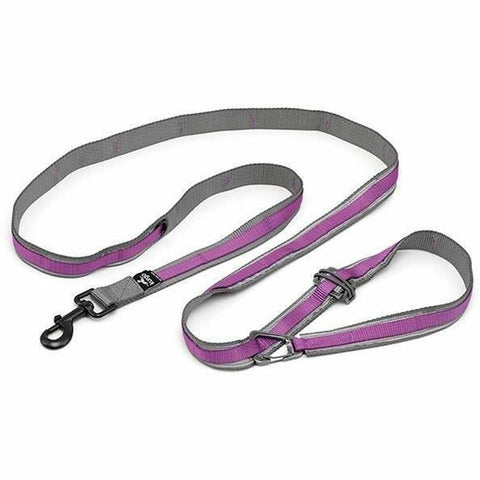 Cinghia Kurgo Quantum Violetta Violet Nylon