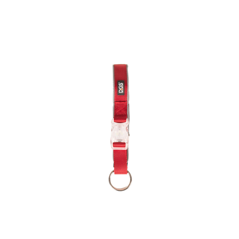 Collare per Cani Dog Gone Smart Rosso L Luce