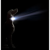 V4H93AFADD3BDADE82E7A9467DEB7FA5D10R5554908P2