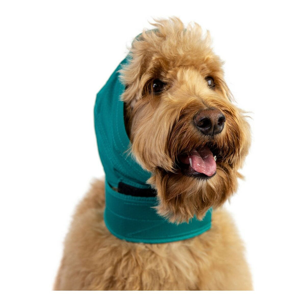 Protezione Orecchie per Cani KVP Verde XL