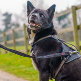 V3H24F9BD465C3B5696D58E920F0E73AB57R7245511P3