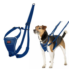 Imbracatura per Cani Company of Animals Blue 20