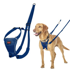 Arnés para Perro Company of Animals Blue 12