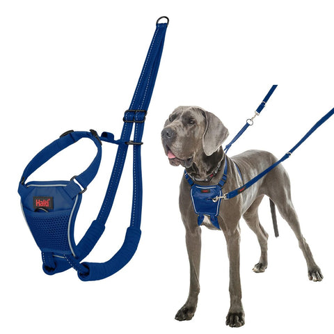 Imbracatura per Cani Company of Animals Blue L