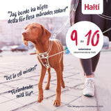 V4H3ED143BC620504A7B0FAE3FA06CF2603R7523819P6