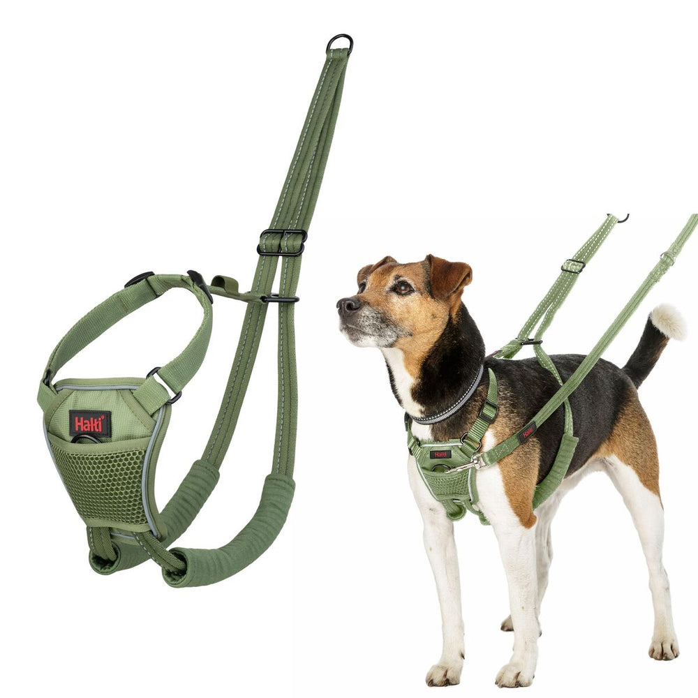 Imbracatura per Cani Company of Animals 20