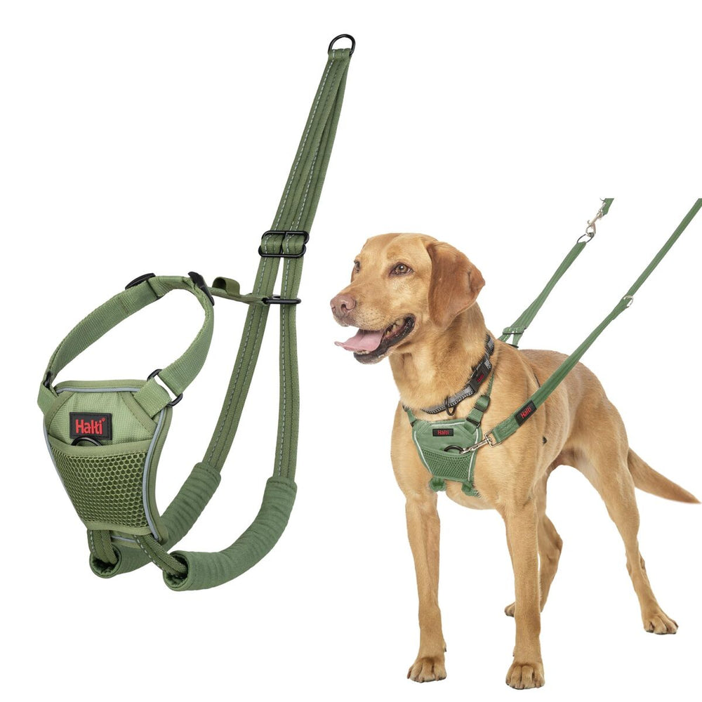 Imbracatura per Cani Company of Animals 12
