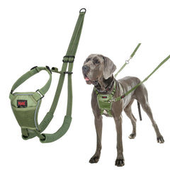 Imbracatura per Cani Company of Animals L