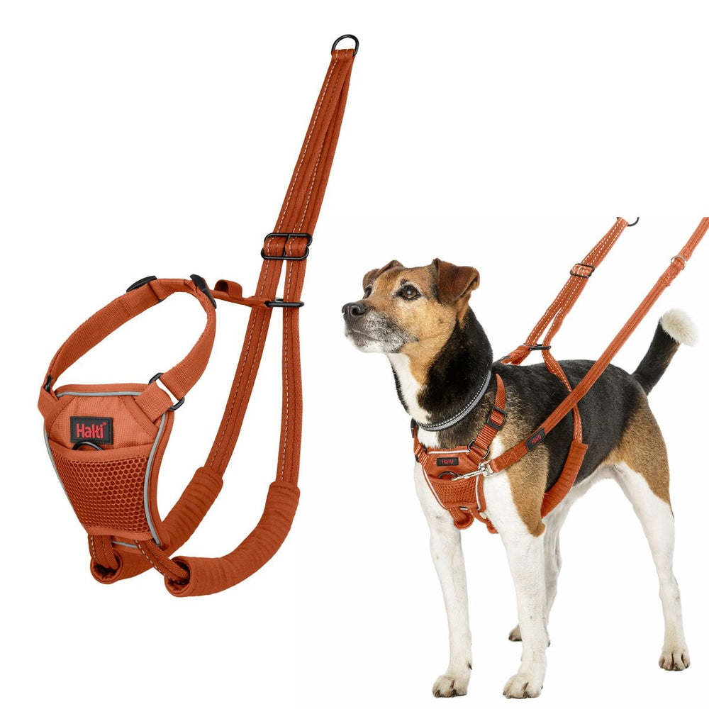 Dog Harness Company of Animals Orange 20