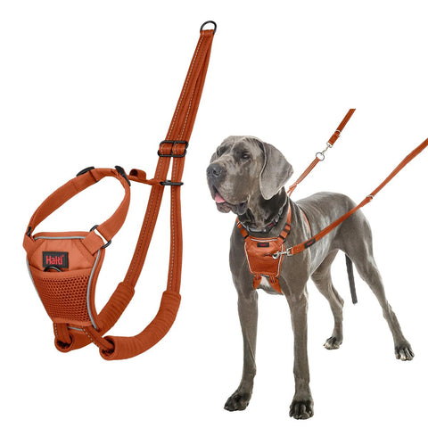 Imbracatura per Cani Company of Animals Orange L