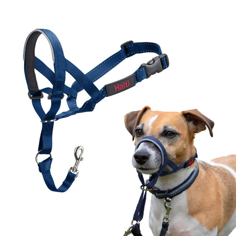 Imbracatura per Cani Company of Animals Blue Taglia 1