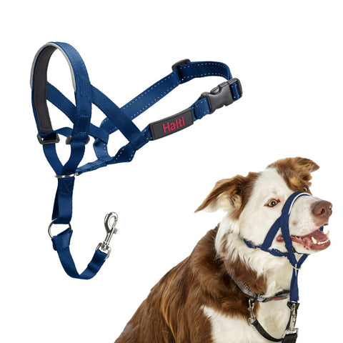 Imbracatura per Cani Company of Animals Blue 2