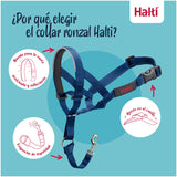 V2H31EDC7DAF79F637C07DF445B9ACB60B3R7523939P7