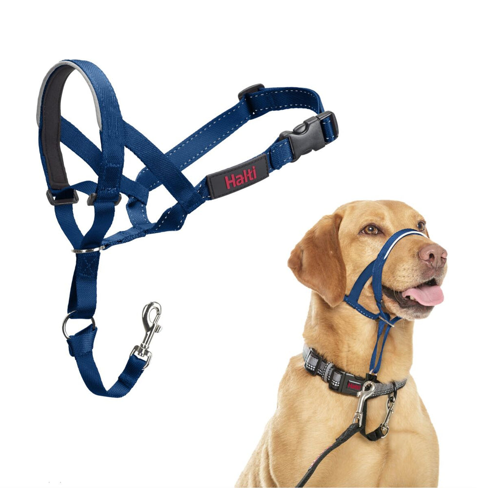 Museruola Company of Animals COBALT Azzurro 3