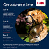 V4H44CA5A3D6588D6E937C50648099E64C8R7523851P3