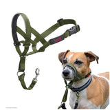 V3HFAEA17B3237EC4975450A7998107B44BR7523854P6