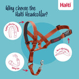 V4HDEDCED0607696096A7418758F262EB60R7523863P3