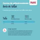 V2HAF26DFDEA312C88591DFAA3AFD8826E8R7522963P9