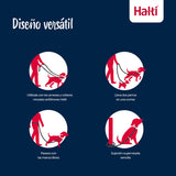V4H0CA30D95637E4461B4BD275B0586A5DBR7523094P9