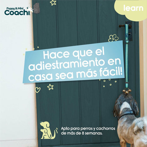 Imbracatura per Cani Coachi