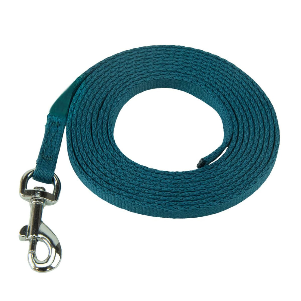 Arnés para Perro Coachi