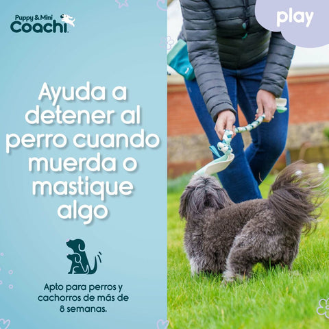 Imbracatura per Cani Coachi