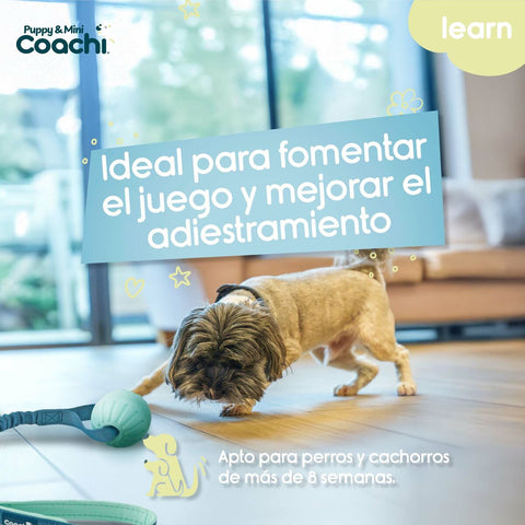 Imbracatura per Cani Coachi