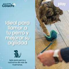 Arnés para Perro Coachi