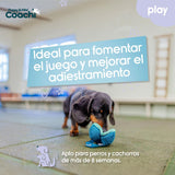 V3HDDDEDAD77D66E7DFBD3714CC45FED55CR5717682P4