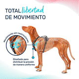 V4H1F3305B144D17C14B29BC0A8FEE14A12R5328453P5