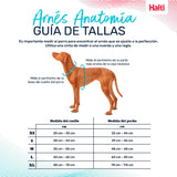 V4HE4E7823433778ABC00A723BEBD4E4949R5328472P4