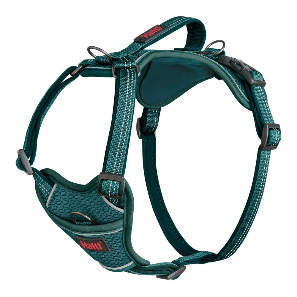 Imbracatura per Cani Company of Animals Turchese XL 50-78 cm