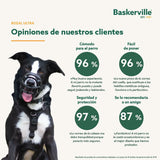 V6HFA20C6B585B661876B02086F529161C5R5327560P9