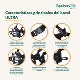 V6H5CBE8007A8243DA40B2D7D058EF3A0C9R5327510P2