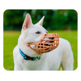 V6H0975876BE2BF8B163E30A8CB4578F2CDR5327543P3