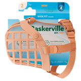 V5HACEEAF4330B5F5F68CB4BEC3C2C77DB9R5554138P2