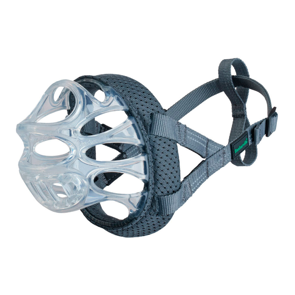 Muzzle Company of Animals Transparent 4