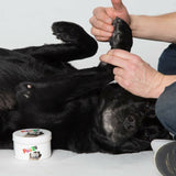 V5H420793D80DDEB706C5756DAD9A7D569CR5595059P5