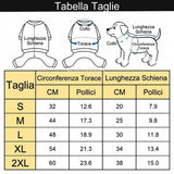 Prodotto 15885321339263 - dettaglio del prodotto