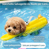 Prodotto 15885321404799 - vista principale del prodotto