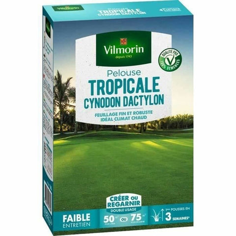 Semi Vilmorin Les Tropicales Cynodon Dactylon 500 g