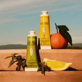 V4H77781FD5B80D5CFC44A91A53FA5F1DDFR6237764P3